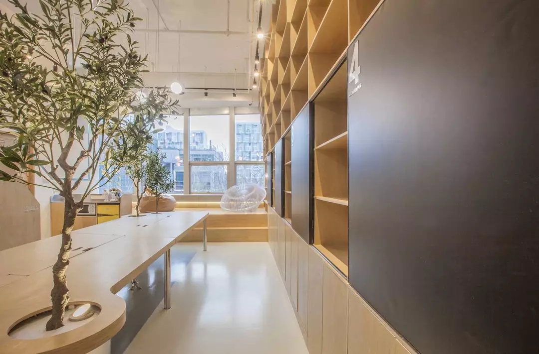 牛在墻上飛，猴子樹梢醉；這是在動物園辦公嗎？